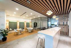 PLUS (D1), Office #563971501